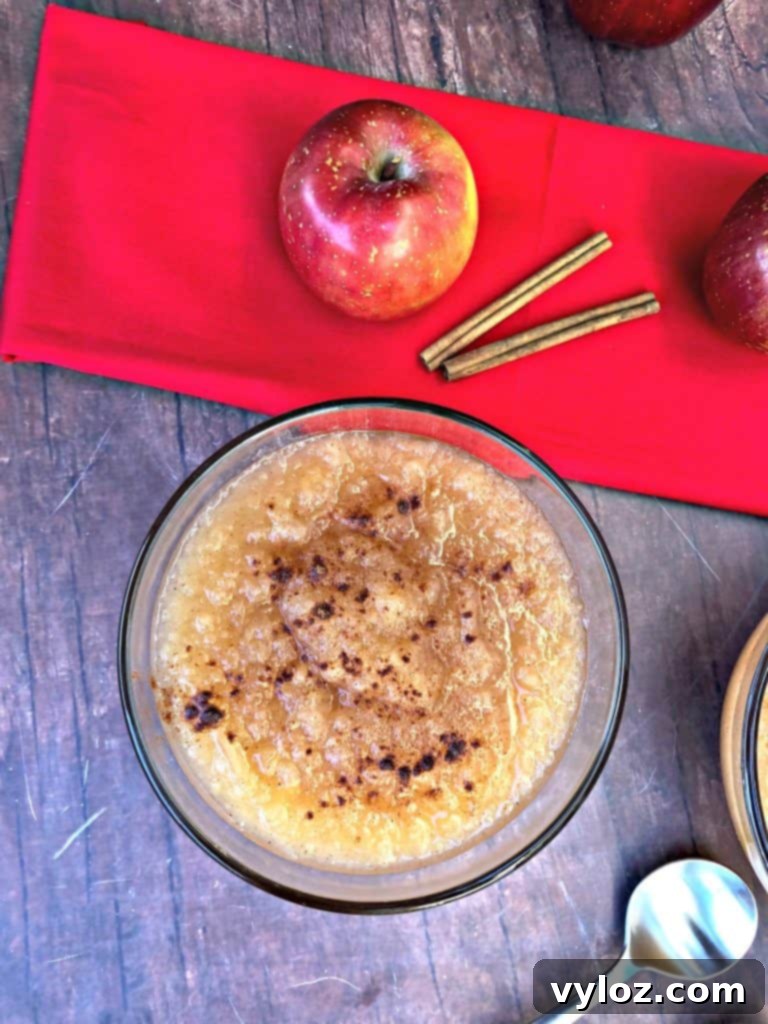 instant pot applesauce with fresh apples and cinnamon