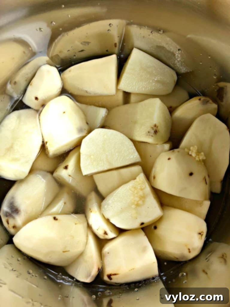 Sliced russet potatoes and minced garlic submerged in water inside an Instant Pot, ready for pressure cooking.