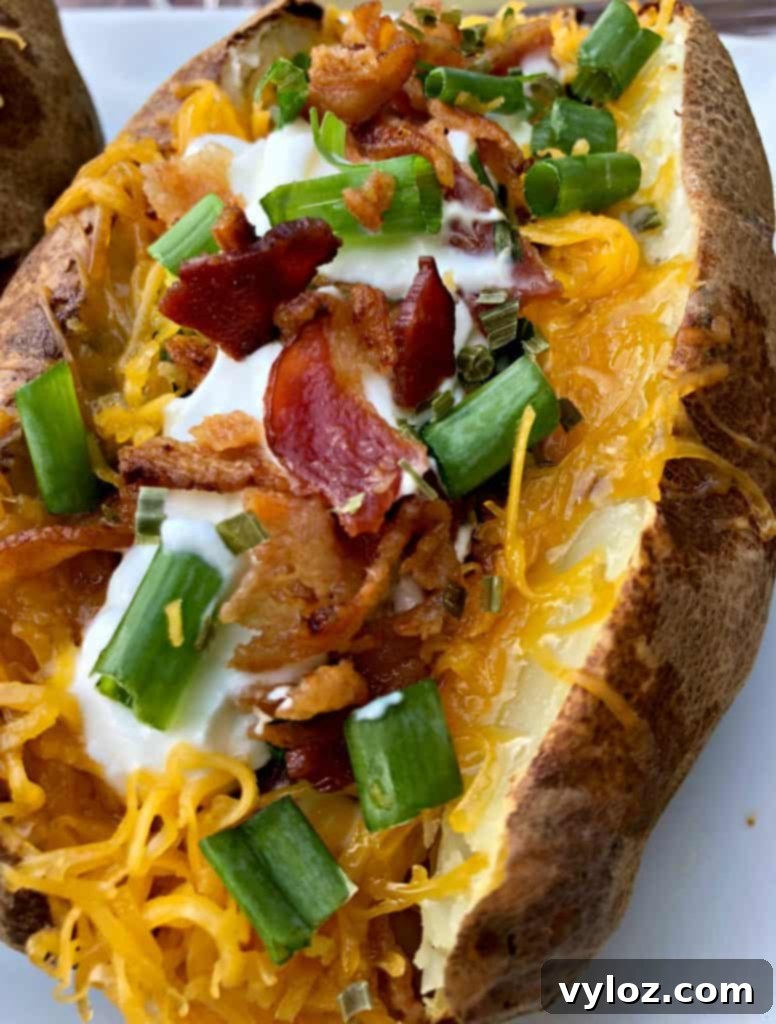 Crispy Air Fryer Baked Potatoes 12 A single air fryer loaded baked potato on a white plate, showcasing its golden-brown, crispy skin and generous toppings.