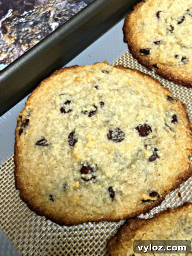 keto chocolate chip cookies on a cookie sheet
